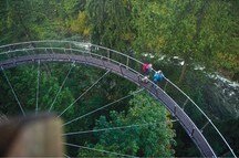Suspension Bridge Suspension Bridge